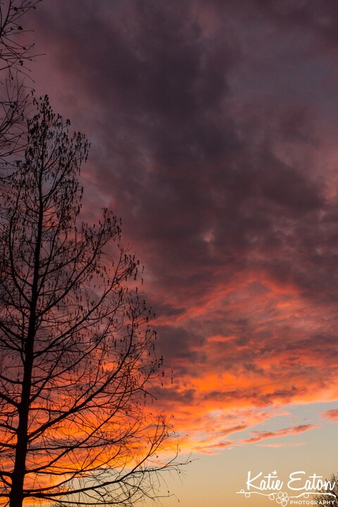 Beautiful image of a sunset in Austin by Katie Eaton Photography-1