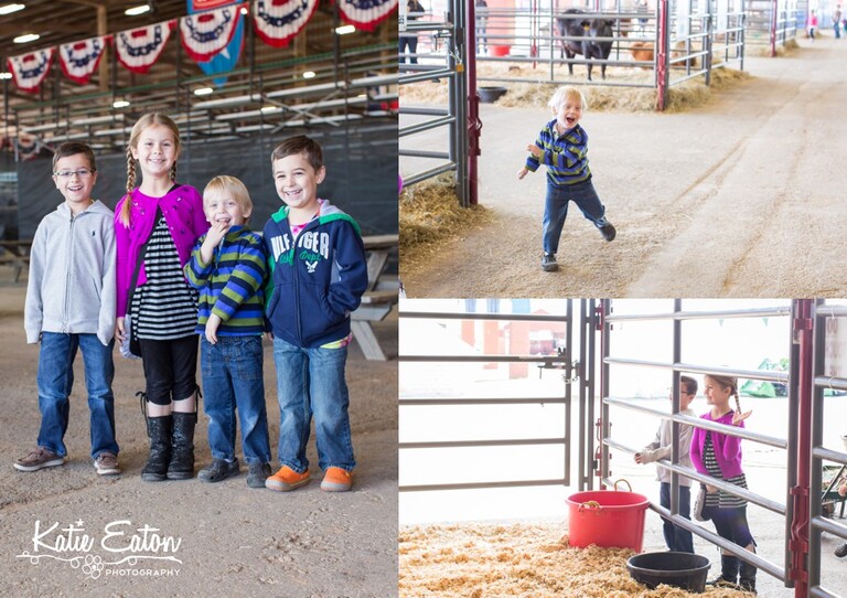 Fun images from the Austin Rodeo and Pig Races | Austin Child Photographer | Katie Eaton Photography-4