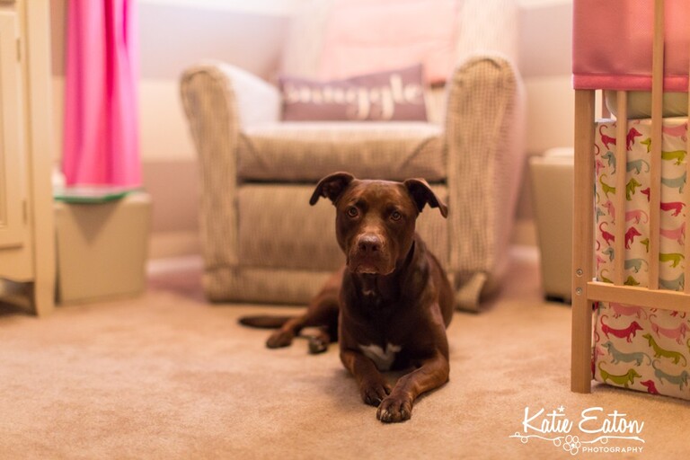 Beautiful images from a lifestyle family session | Austin Family Lifestyle Photographer | Katie Eaton Photography-1