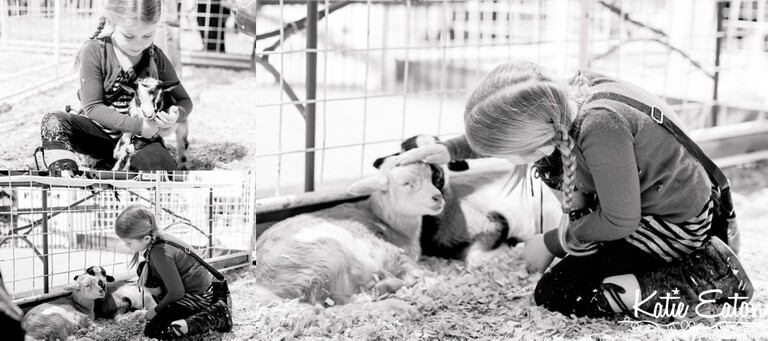 Fun images from the Austin Rodeo and Pig Races | Austin Child Photographer | Katie Eaton Photography-11