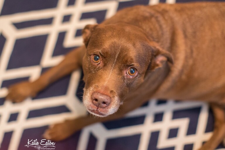 Beautiful images from a maternity session in Austin | Austin Maternity Photographer | Katie Eaton Photography-18