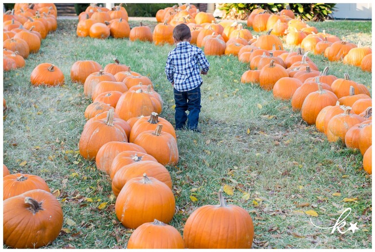 Fun images from a pimpkin patch mini session by Katie Starr Photography-19