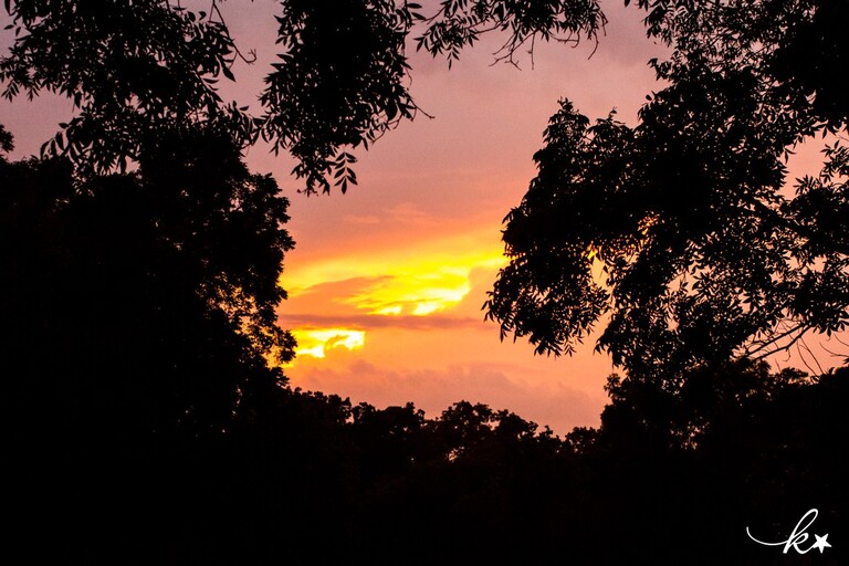 Fun images from our family vacation by Katie Starr Photography-30