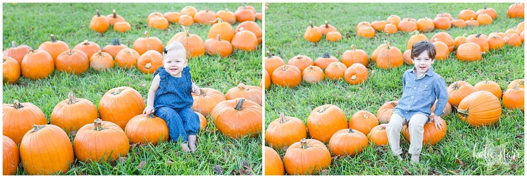 Beautiful images of children in the pumpkin patch in Austin, Texas | Austin Family Photographer | Katie Starr Photography-26.jpg